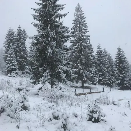 Roua Muntelui * Cîmpu lui Neag