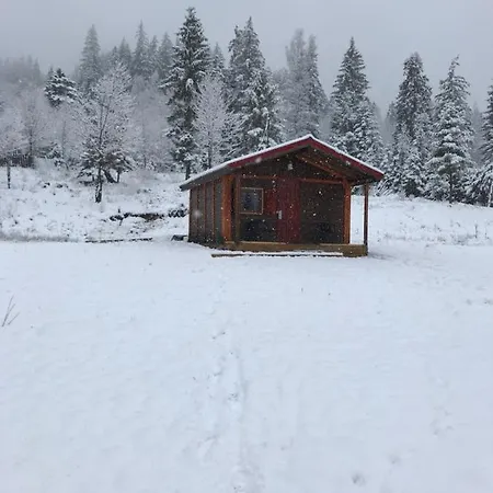 Roua Muntelui *