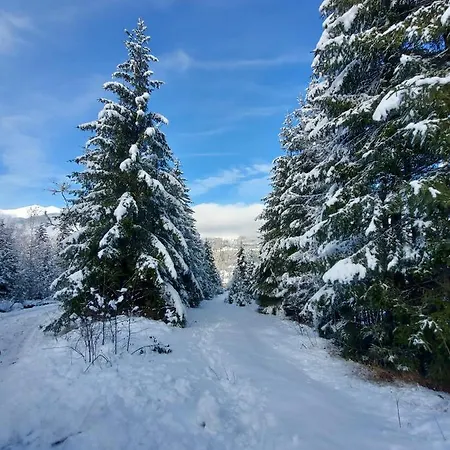 Roua Muntelui Cîmpu lui Neag