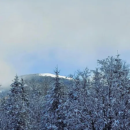 Roua Muntelui Cîmpu lui Neag