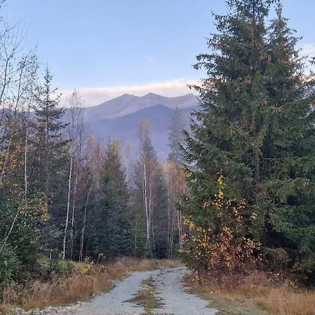 Roua Muntelui Cîmpu lui Neag