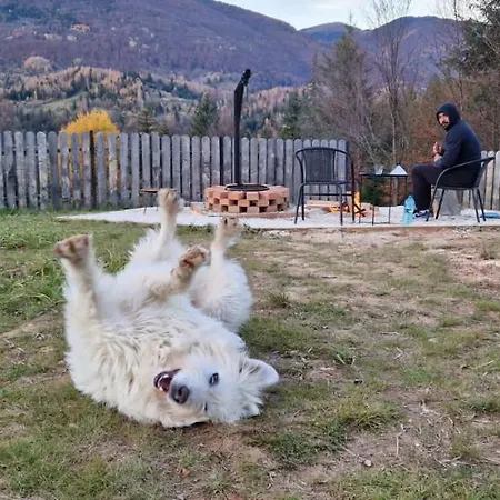 Roua Muntelui 캠프장